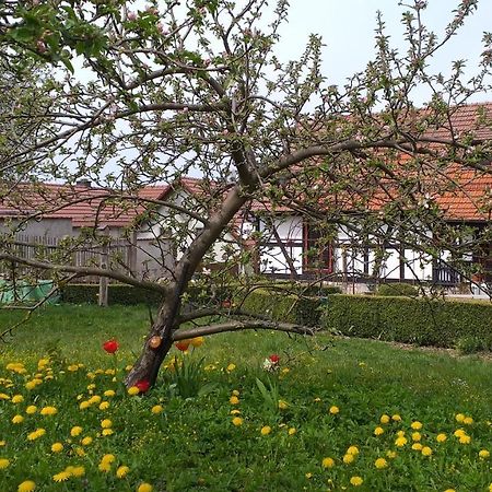 Pension Toepferhof Bad Berka Luaran gambar