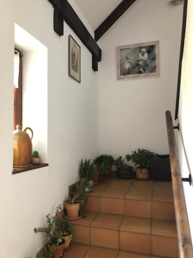 Pension Toepferhof Bad Berka Luaran gambar
